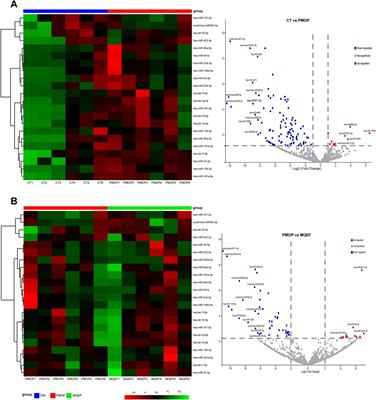 The influence of modified Qing E Formula on the differential expression of serum exosomal miRNAs in postmenopausal osteoporosis patients